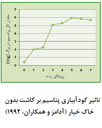 تاثیر کود آبیاری پتاسیم