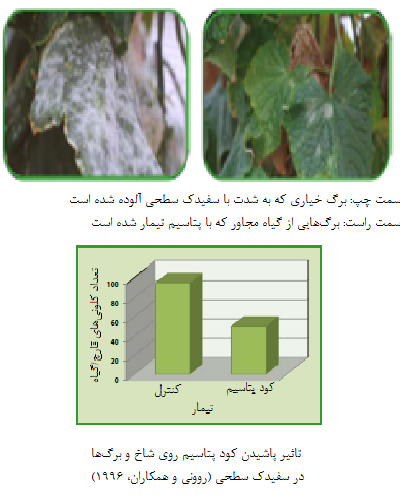 استفاده از پتاسیم برای خیار