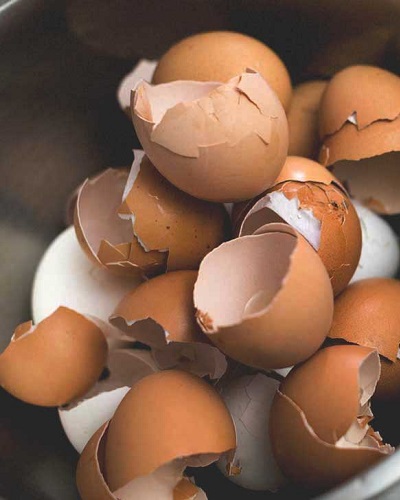 مواد مغذی موجود در پوست تخم مرغ