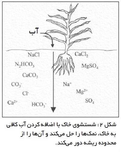 شستشوی خاک با آب