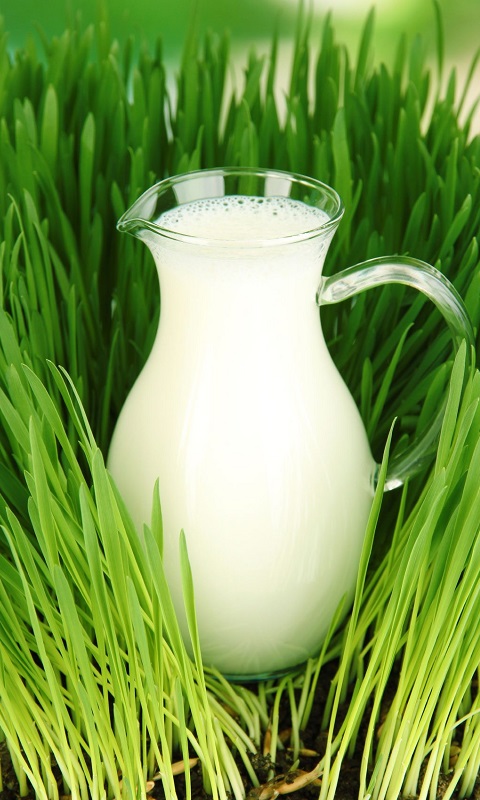 مزایای شیر برای گیاهان