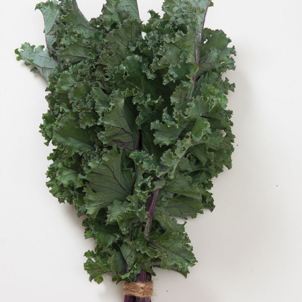 بذر کلم کیل المپیک قرمز