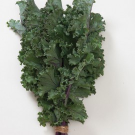 بذر کلم کیل المپیک قرمز