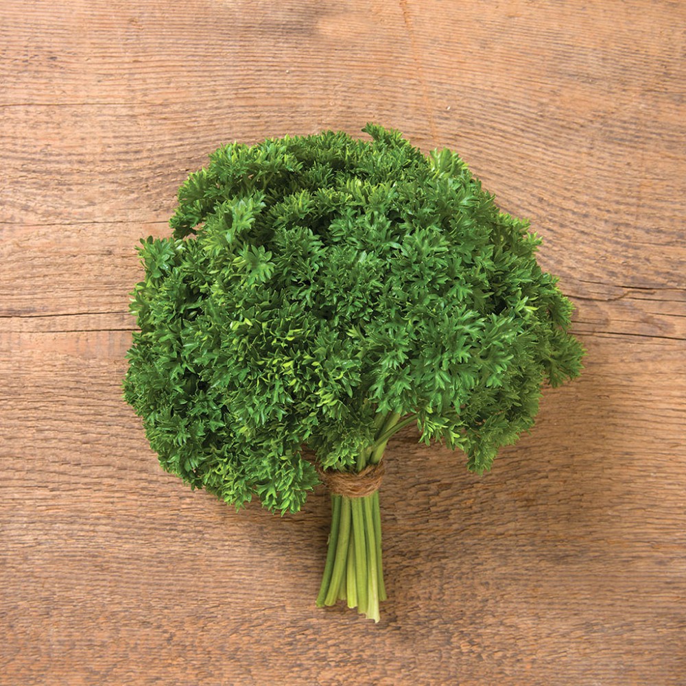 بذر جعفری دارکی