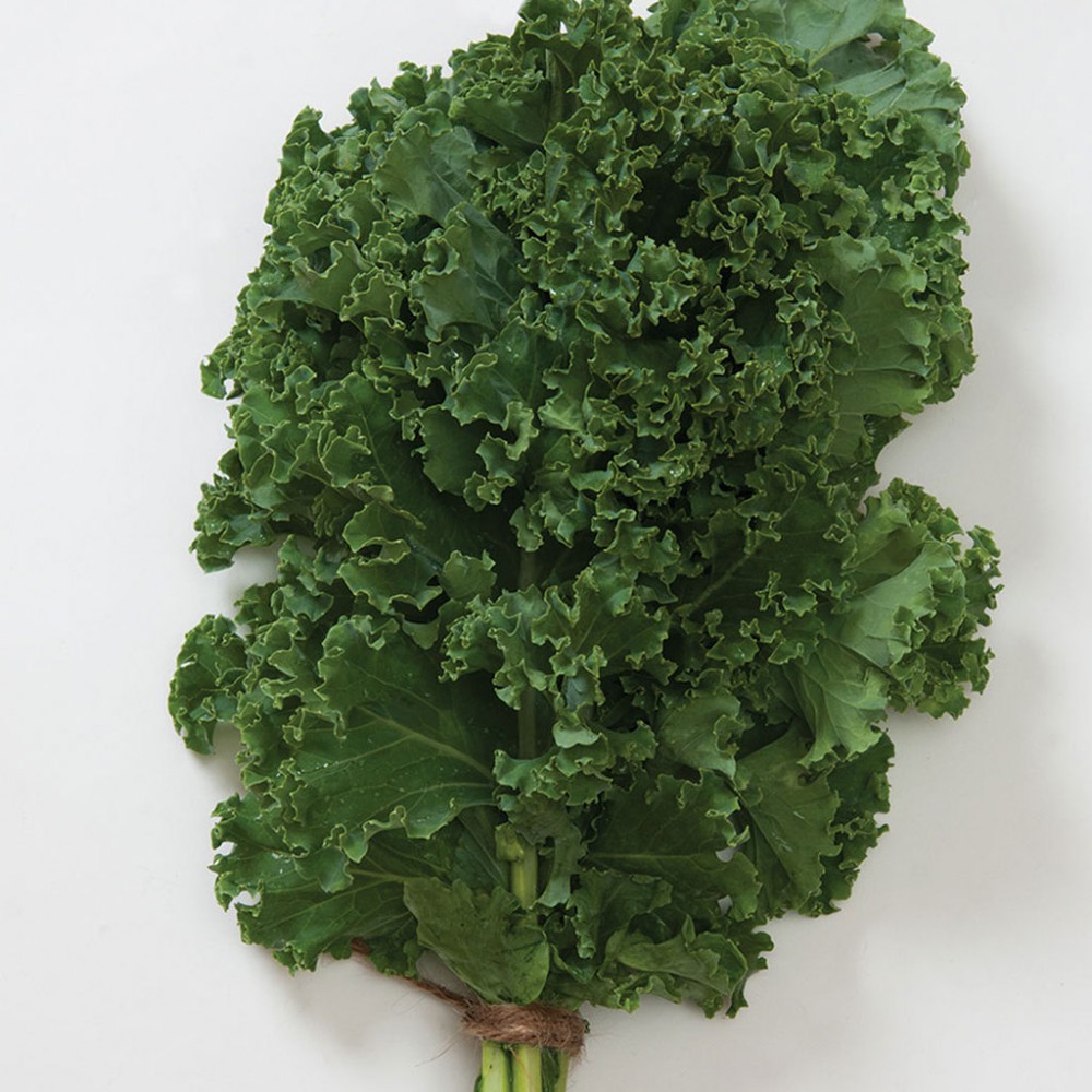 بذر کلم کیل سبز Nash's بذر کلم کیل سبز Nash's