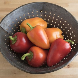 بذر فلفل رومانیایی Antohi بذر فلفل رومانیایی Antohi