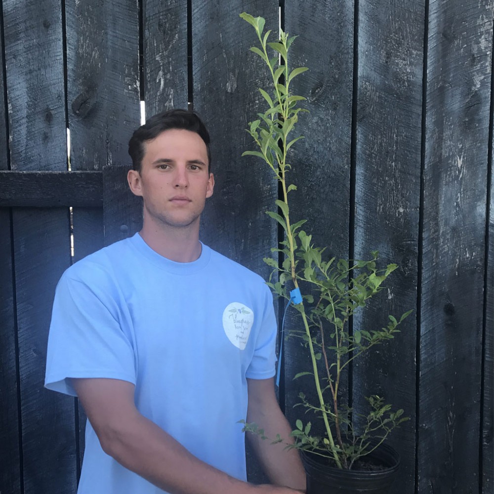 نهال بلوبری اونیل (O’Neal) نهال بلوبری اونیل (O’Neal)