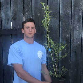 نهال بلوبری اونیل (O’Neal)