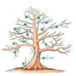 آموزش هرس درختان