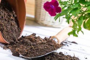 چطور خاک مناسب گلدان درست کنم؟