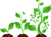 عوامل موثر در رشد و نمو گیاهان