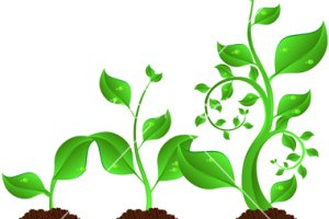 عوامل موثر در رشد و نمو گیاهان