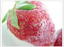 افزایش صادرات میوه های یخ زده در لهستان