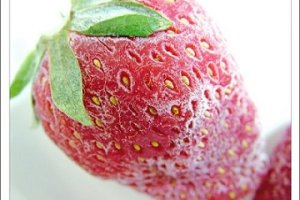 افزایش صادرات میوه های یخ زده در لهستان