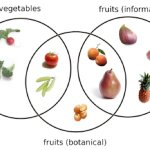 گوجه میوه است یا سبزی؟