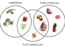 گوجه میوه است یا سبزی؟