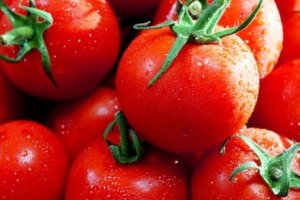 تولید گوجه های شیرین تر با رشد بیشتر