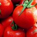 تولید گوجه های شیرین تر با رشد بیشتر