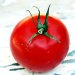 استفاده از نانوذرات در پرورش گوجه فرنگی