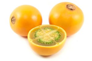 کاشت و پرورش نارنجیلا