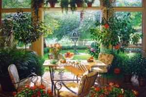 داشتن هوای پاک در خانه با کمک گیاهان
