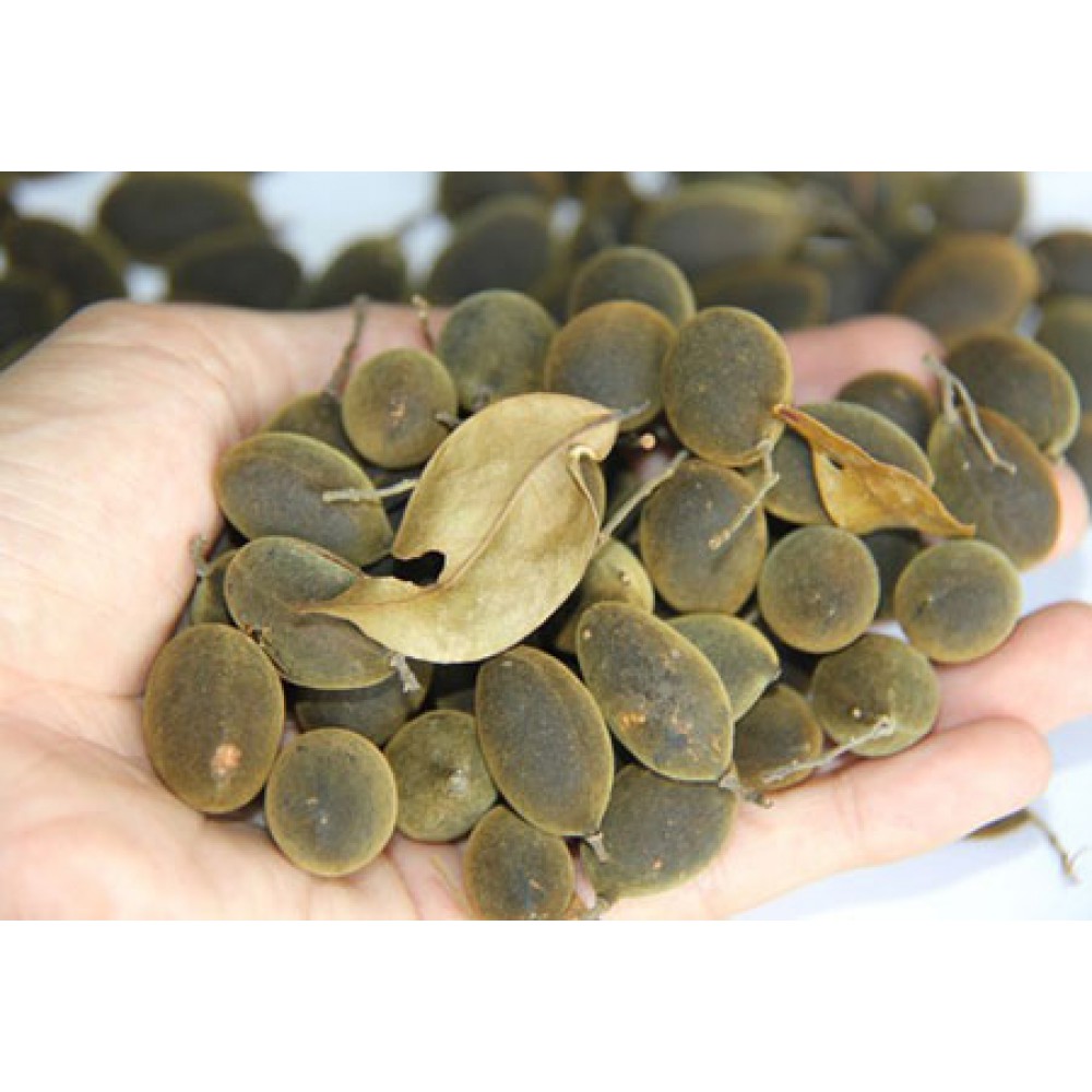 بذر میوه مخملی جنگل بذر میوه مخملی جنگل