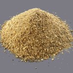 استفاده از پودر استخوان به عنوان کود برای گیاه بلوبری