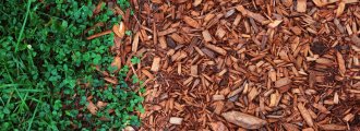 انواع مالچ و موارد استفاده از آن‌ها