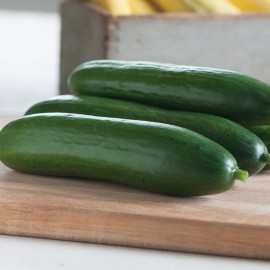 بذر خیار دیوا بذر خیار دیوا