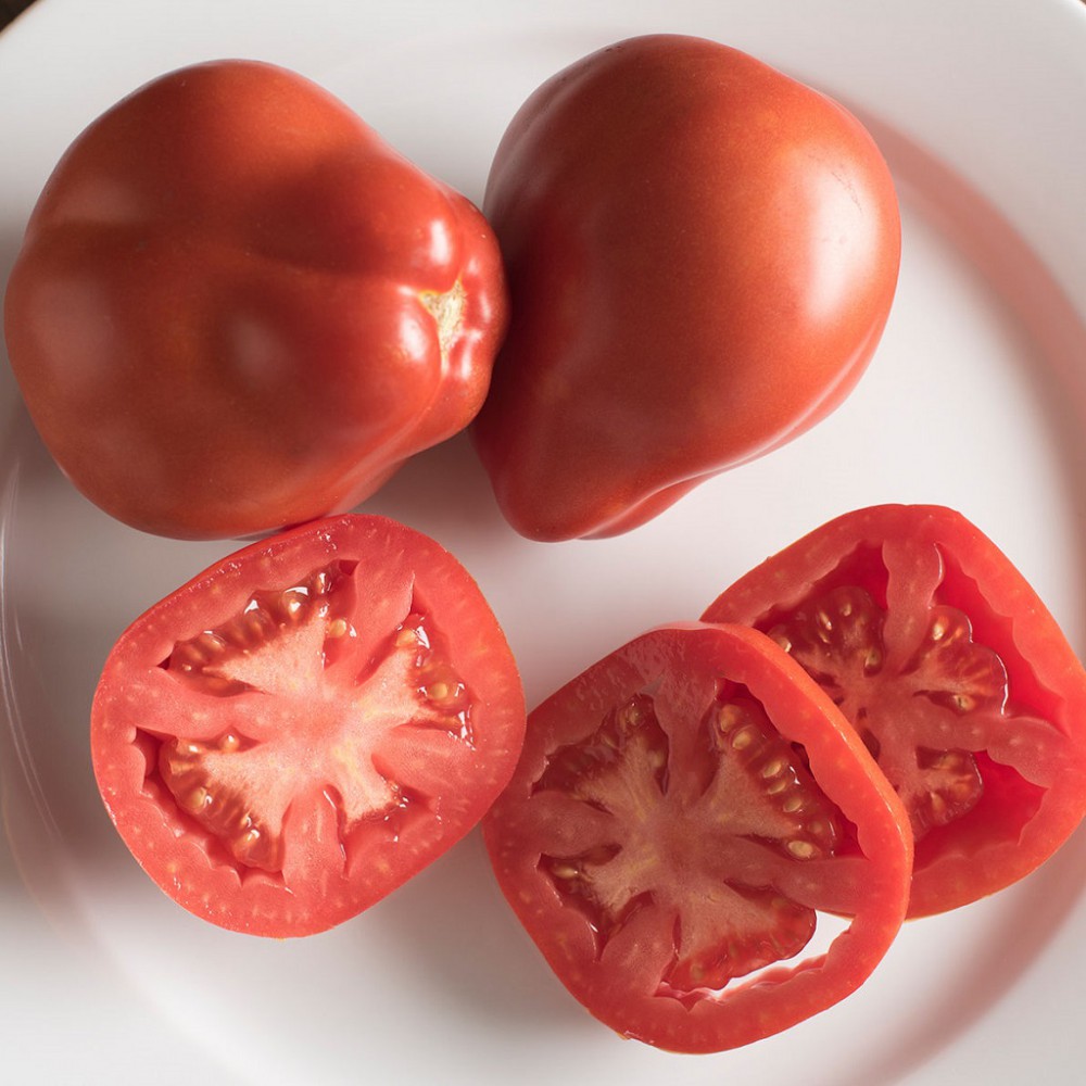 بذر گوجه فرنگی گلابی قرمز پیریفورم بذر گوجه فرنگی گلابی قرمز پیریفورم