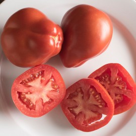 بذر گوجه فرنگی گلابی قرمز پیریفورم