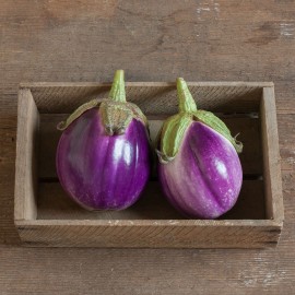 بذر بادمجان رزا بیانکا