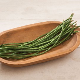 بذر لوبیا گیتا