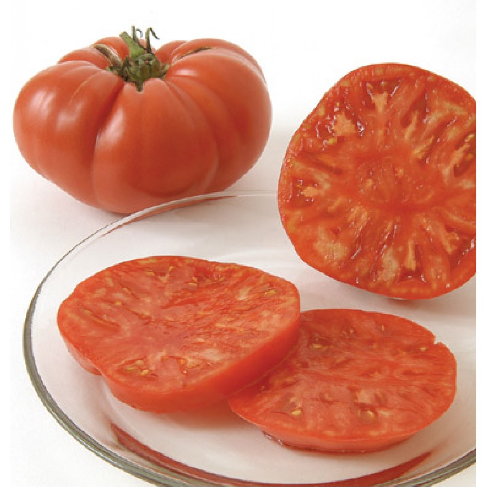 بذر گوجه فرنگی برندیواین ارگانیک بذر گوجه فرنگی برندیواین ارگانیک