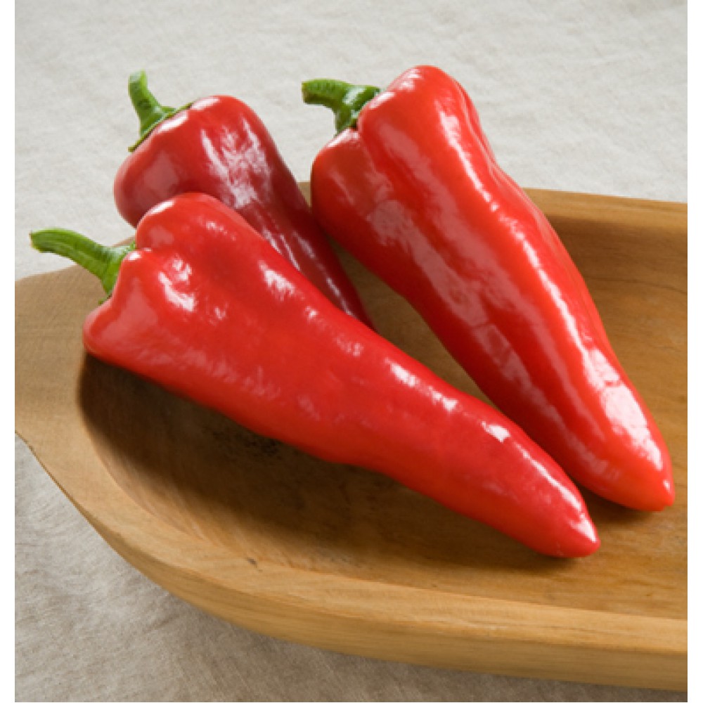 بذر فلفل کارمن F1 بذر فلفل کارمن F1