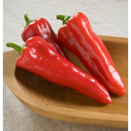 بذر فلفل کارمن F1