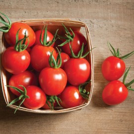 بذر گوجه فرنگی گیلاسی بمب ارگانیک (F1)