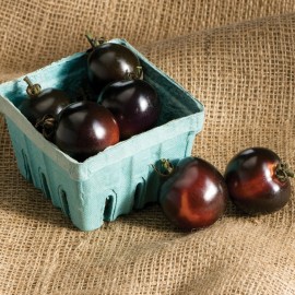 بذر گوجه فرنگی گل رز مشکی ارگانیک بذر گوجه فرنگی گل رز مشکی ارگانیک