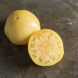 بذر گوجه فرنگی سفید بزرگ ارگانیک