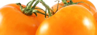 بذر گوجه فرنگی والنسیا ارگانیک