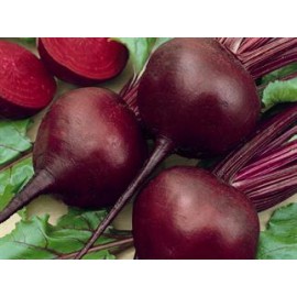 بذر چغندر قرمز تیره