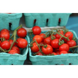 بذر گوجه فرنگی گیلاس وحشی