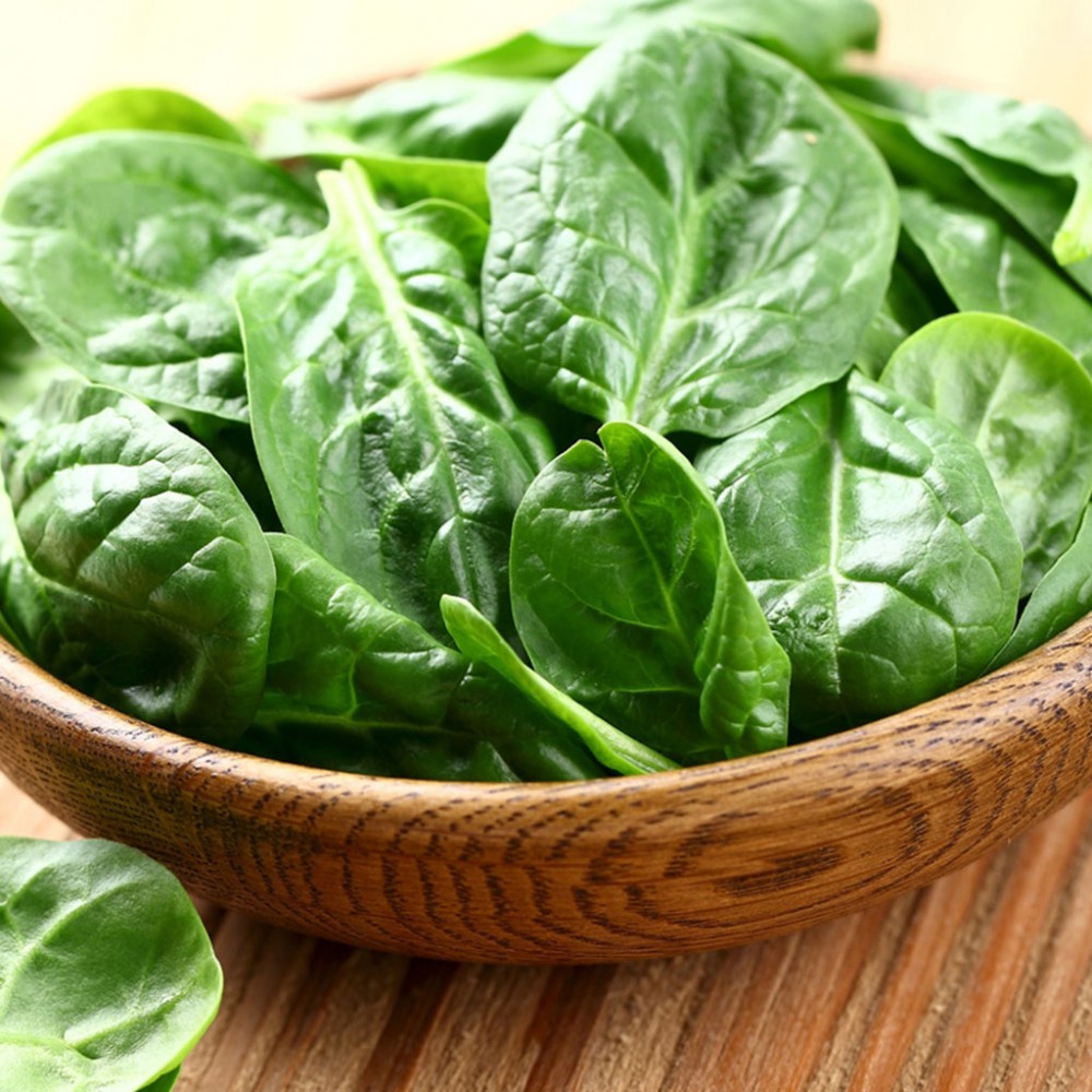 بذر اسفناج ماتادور