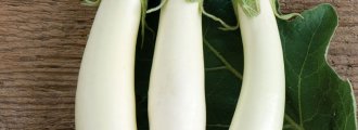 بذر بادمجان سفید مصری