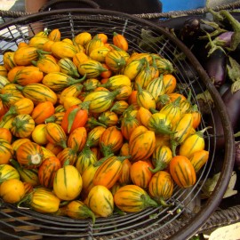 بذر بادمجان توگا