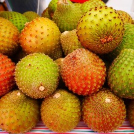 بذر میوه کوپایو