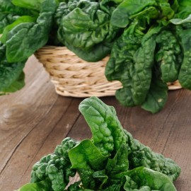 بذر اسفناج برگ پهن VIROFLAY