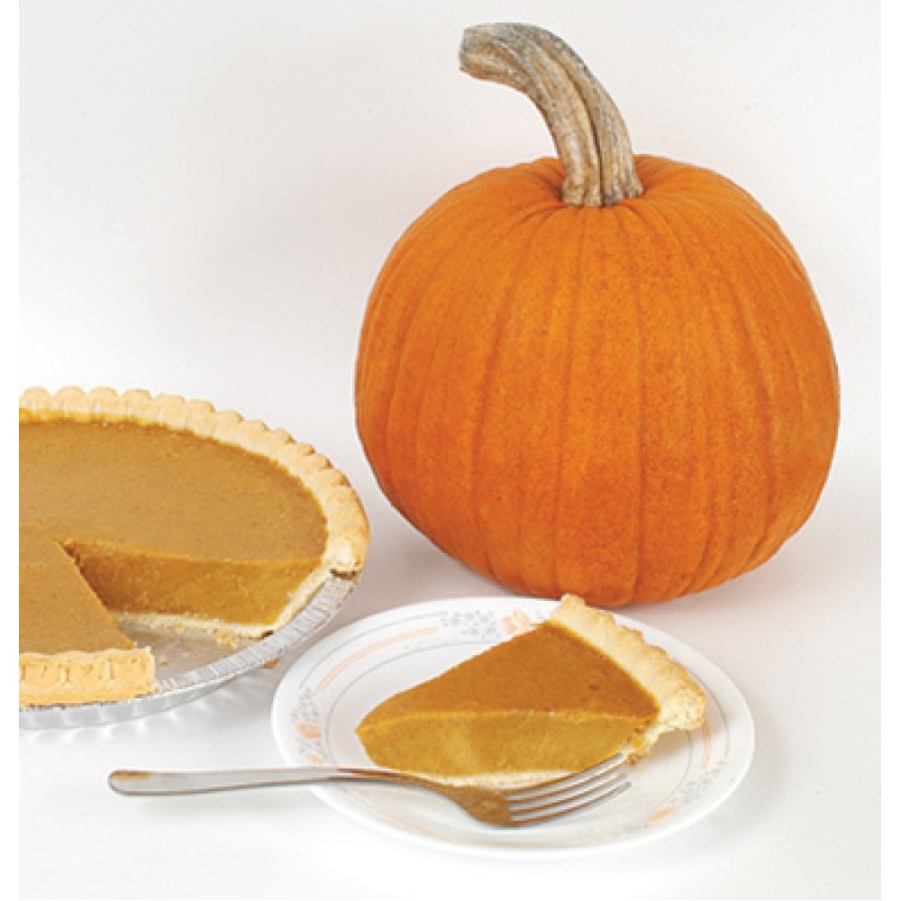 بذر کدوتنبل پای جدید انگلیسی