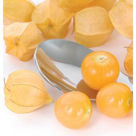 بذر فیسالیس زرد Goldie ارگانیک بذر فیسالیس زرد Goldie ارگانیک