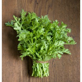 بذر سبزی شونگیکو